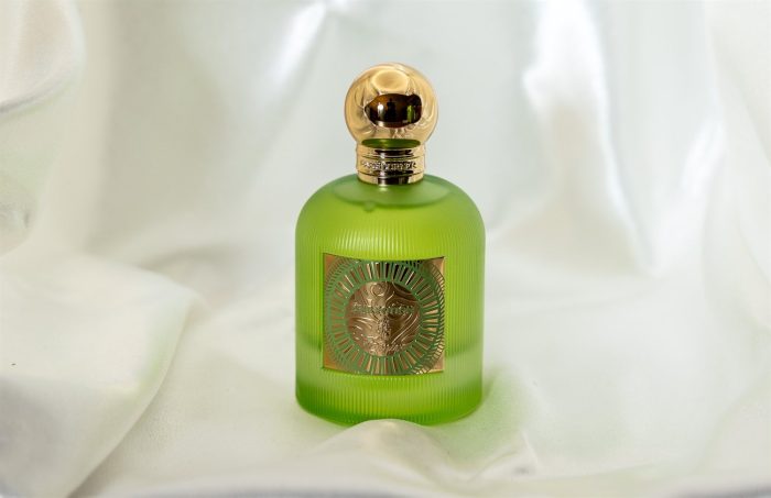 pear potion 100ml - Image 1